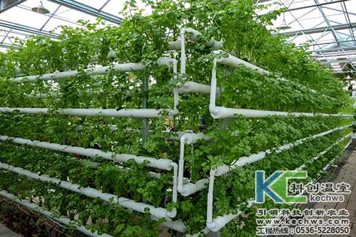 無土栽培，無土栽培技術，無土栽培設備