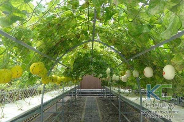 無土栽培，無土栽培技術，無土栽培設備