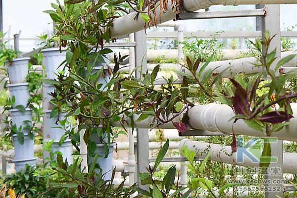 無土栽培，無土栽培技術，無土栽培設備