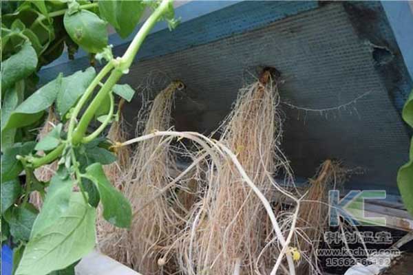 無(wú)土栽培，無(wú)土栽培技術(shù)，無(wú)土栽培設(shè)備