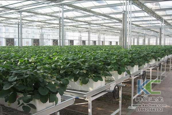 無土栽培，無土栽培技術，無土栽培設備
