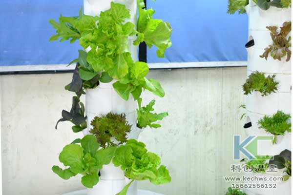 無土栽培，無土栽培技術，無土栽培設備