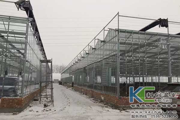 無土栽培，無土栽培技術，無土栽培設備