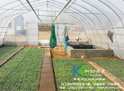 無土栽培，無土栽培技術，無土栽培設備