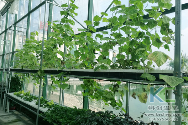 無(wú)土栽培技術(shù)，無(wú)土栽培設(shè)備，溫室大棚，無(wú)土栽培
