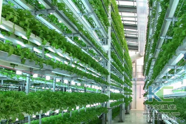 無土栽培，無土栽培技術，無土栽培設備