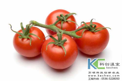 無(wú)土栽培，無(wú)土栽培技術(shù)，無(wú)土栽培設(shè)備