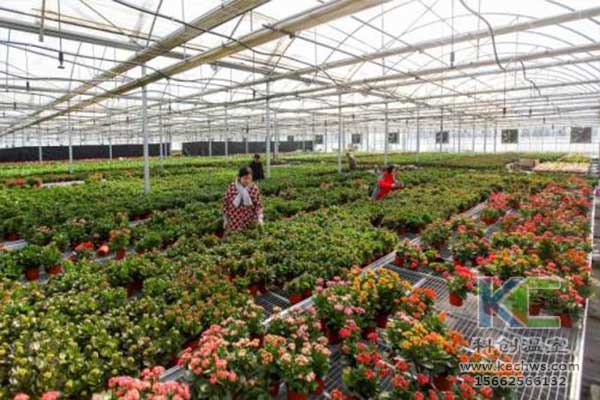 無土栽培，無土栽培技術，無土栽培設備