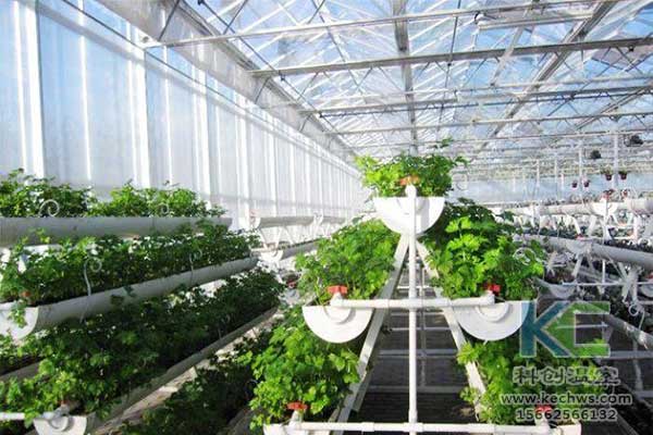 無土栽培，無土栽培技術，無土栽培設備