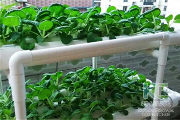 無土栽培，無土栽培技術(shù)，無土栽培設(shè)備