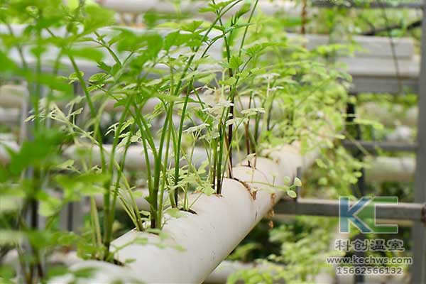 無土栽培，無土栽培技術