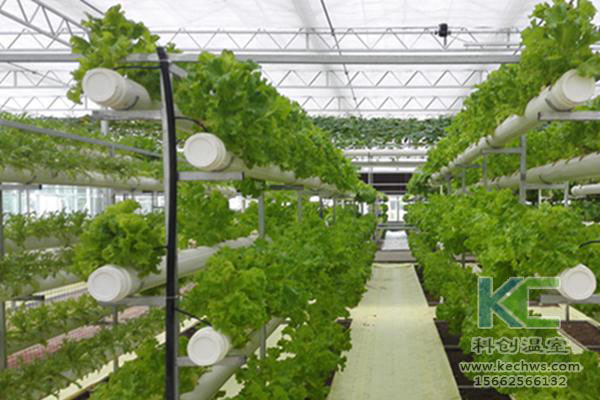 無(wú)土栽培，無(wú)土栽培技術(shù)，無(wú)土栽培設(shè)備