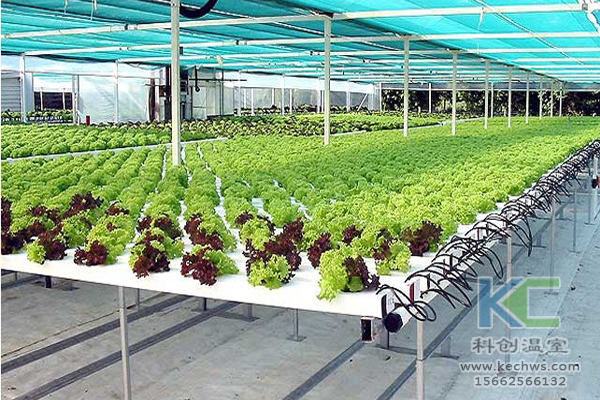 無土栽培,無土栽培技術,無土栽培設備