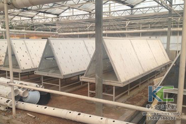 有機蔬菜栽培，無土栽培技術(shù)，無土栽培，溫室大棚