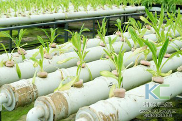 無土栽培，無土栽培技術，無土栽培設備