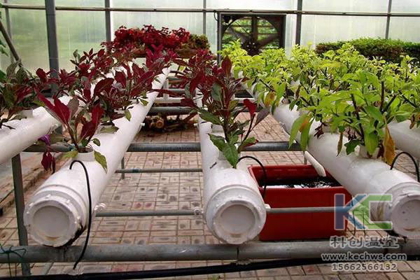 無土栽培，無土栽培技術，無土栽培設備