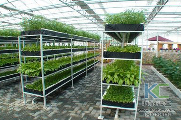 有機蔬菜栽培，無土栽培技術(shù)，無土栽培，溫室大棚