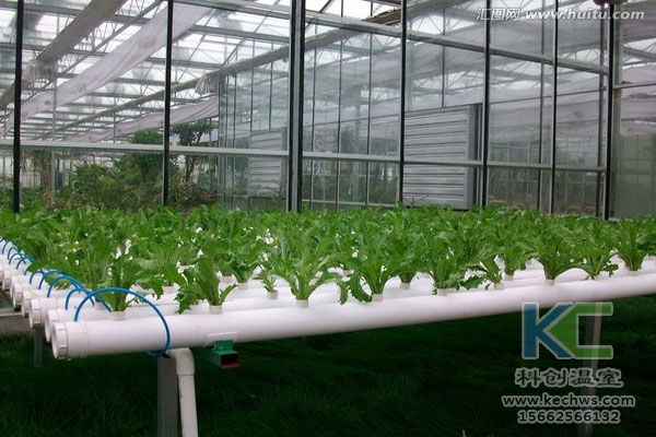 無(wú)土栽培，無(wú)土栽培技術(shù)，無(wú)土栽培設(shè)備