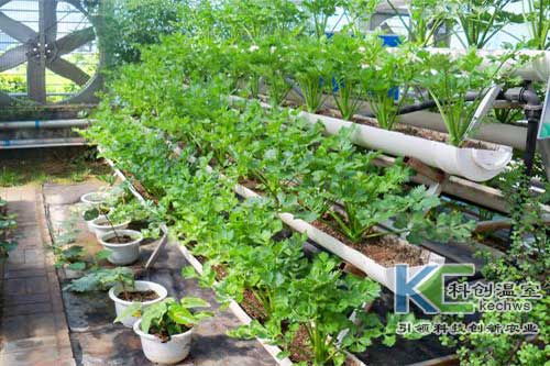 無土栽培，無土栽培技術，無土栽培設備