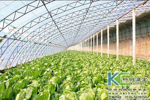 無(wú)土栽培，無(wú)土栽培技術(shù)，無(wú)土栽培設(shè)備