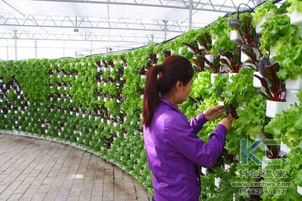 無土栽培，無土栽培技術，無土栽培設備