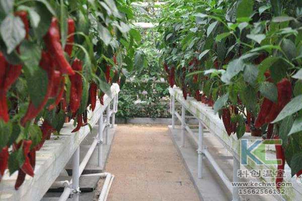 無(wú)土栽培，無(wú)土栽培技術(shù)，無(wú)土栽培設(shè)備