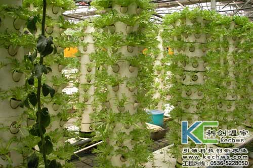 無土栽培，無土栽培技術，無土栽培設備