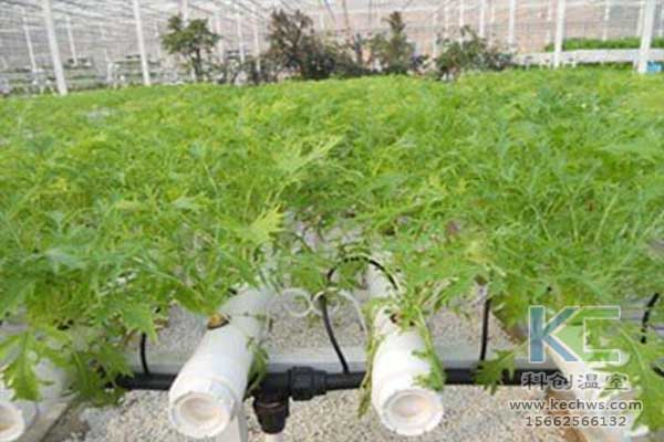無土栽培，無土栽培技術，無土栽培設備
