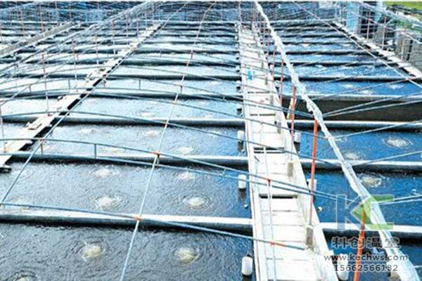 無(wú)土栽培，無(wú)土栽培技術(shù)，無(wú)土栽培設(shè)備