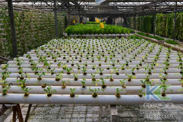 無土栽培，無土栽培技術(shù)，無土栽培設(shè)備