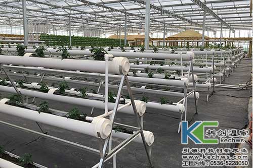 A字架，無(wú)土栽培，無(wú)土栽培技術(shù)