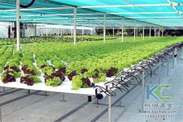 無土栽培，無土栽培技術(shù)，無土栽培設(shè)備
