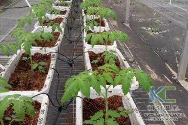 無土栽培，無土栽培技術，無土栽培設備