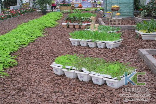無土栽培，無土栽培技術，無土栽培設備