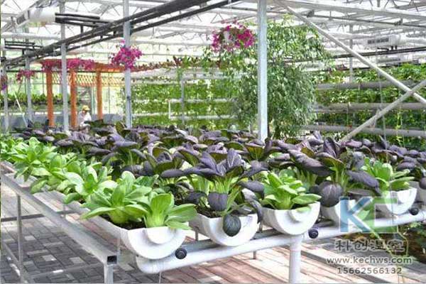 無土栽培，無土栽培技術(shù)，無土栽培設(shè)備