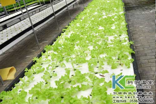 無土栽培，無土栽培技術，無土栽培設備