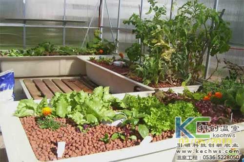 無(wú)土栽培，無(wú)土栽培技術(shù)，無(wú)土栽培設(shè)備
