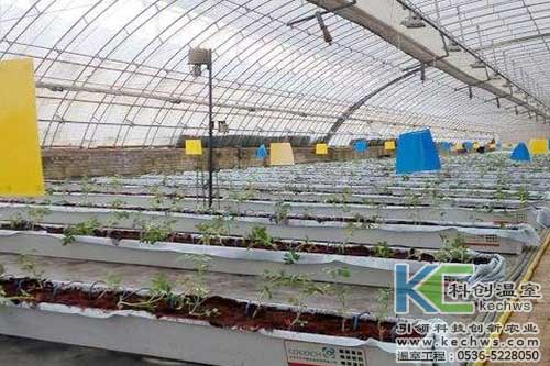 無土栽培，無土栽培技術(shù)，無土栽培設(shè)備