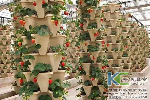 無(wú)土栽培，無(wú)土栽培技術(shù)，無(wú)土栽培設(shè)備