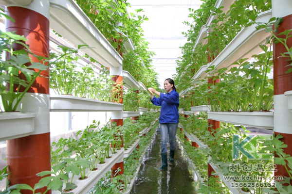 無土栽培，無土栽培技術(shù)，無土栽培設(shè)備