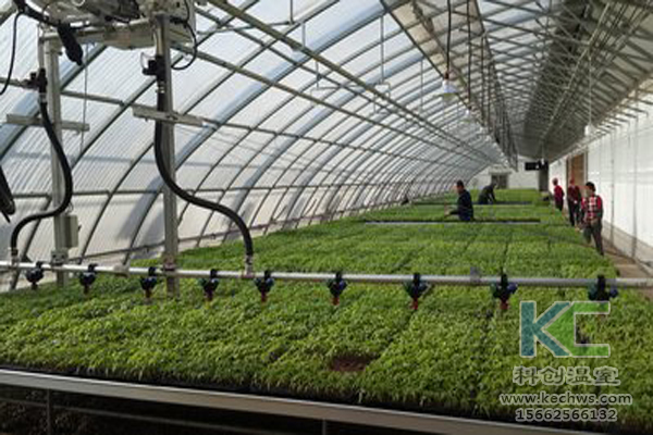 無土栽培技術，休閑農業，無土栽培，溫室大棚