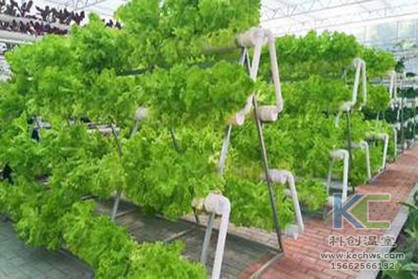無土栽培，無土栽培技術，無土栽培設備