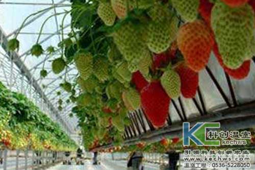 無土栽培，無土栽培技術，無土栽培設備