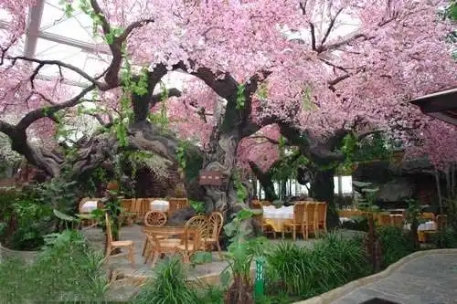 無土栽培,無土栽培技術,無土栽培設備