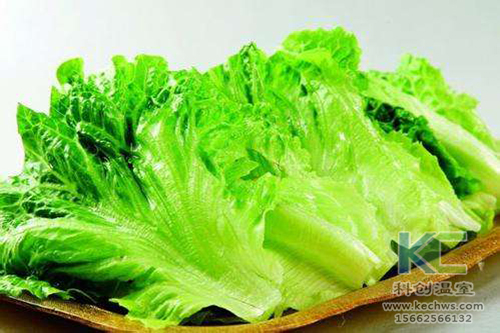 無土栽培，無土栽培技術，無土栽培設備