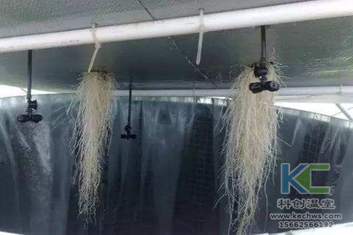 無土栽培，無土栽培技術(shù)，無土栽培設(shè)備