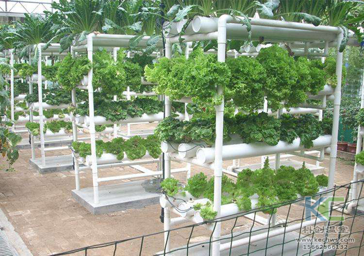無土栽培，無土栽培技術，無土栽培設備