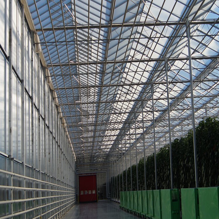 無土栽培，無土栽培技術(shù)，無土栽培設(shè)備