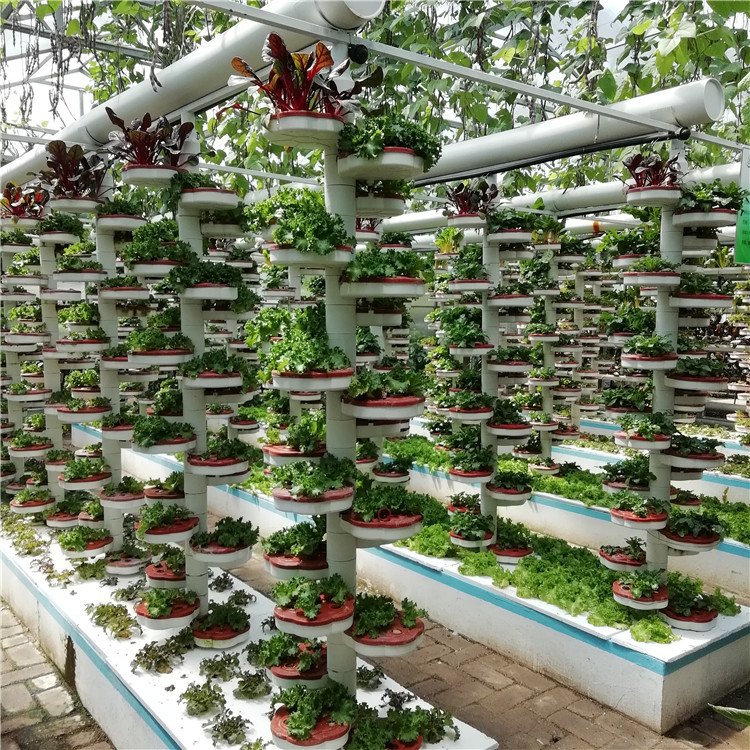 無土栽培,無土栽培技術,無土栽培設備