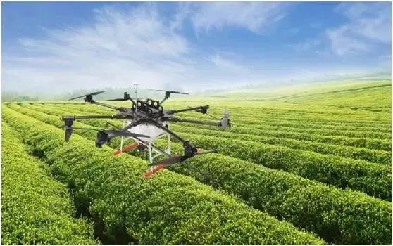 無土栽培,無土栽培技術(shù),無土栽培設(shè)備